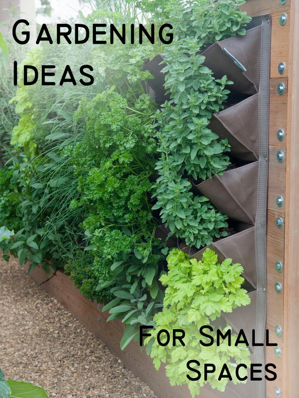 garden-landscape-ideas-for-small-spaces-20_10 Идеи за градински пейзаж за малки пространства