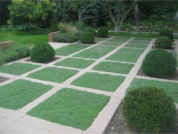 garden-lawn-designs-89_12 Градински дизайн на тревни площи
