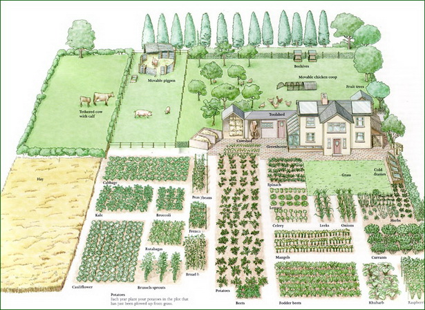 garden-layout-ideas-35_4 Идеи за оформление на градината