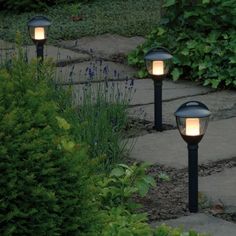 garden-path-lighting-91_15 Градинска пътека осветление