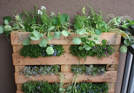garden-planter-ideas-51_11 Идеи за градински плантатор