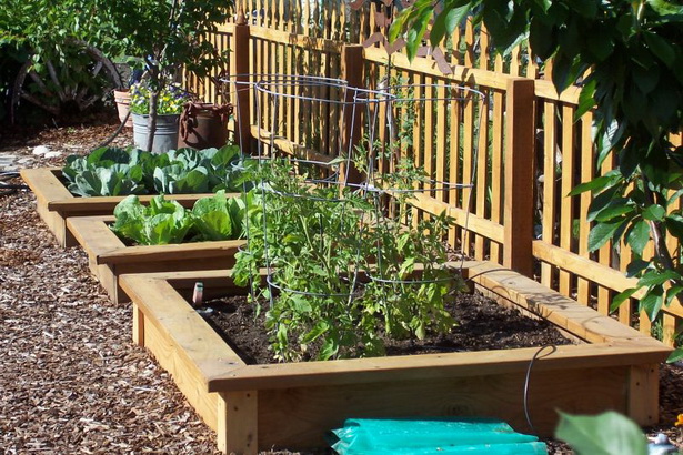 Идеи за градински парцел