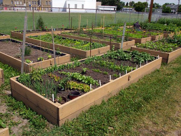garden-plot-ideas-40_11 Идеи за градински парцел