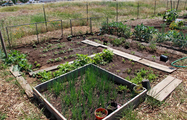 garden-plot-ideas-40_12 Идеи за градински парцел