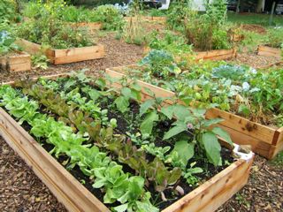 garden-plot-ideas-40_14 Идеи за градински парцел
