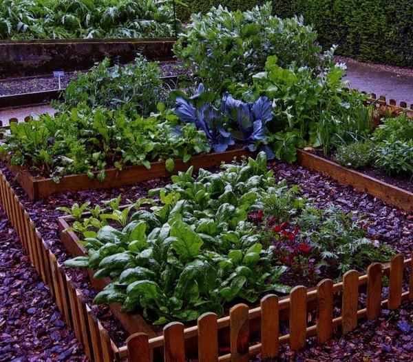 garden-plot-ideas-40_6 Идеи за градински парцел