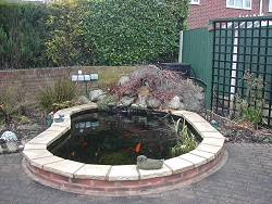 garden-pond-design-78_3 Дизайн на градинско езерце