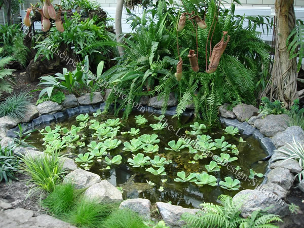 garden-pond-landscaping-11_14 Градинско езерце озеленяване