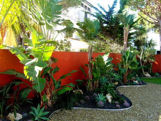 garden-tropical-plants-60_13 Градински тропически растения