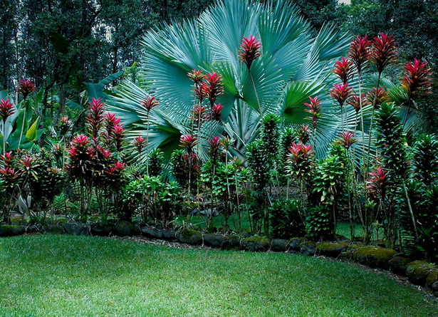 garden-tropical-plants-60_16 Градински тропически растения