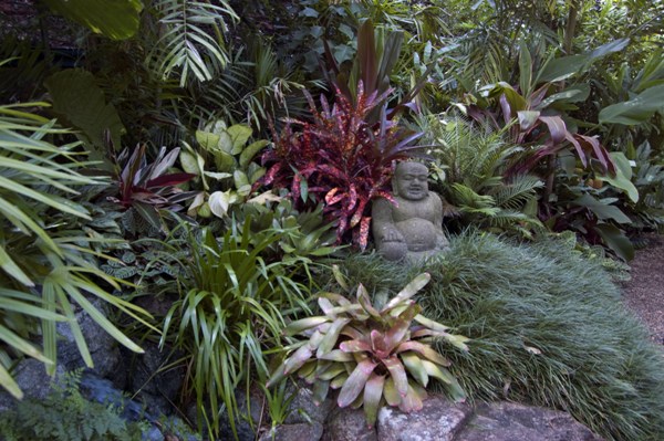 garden-tropical-plants-60_4 Градински тропически растения
