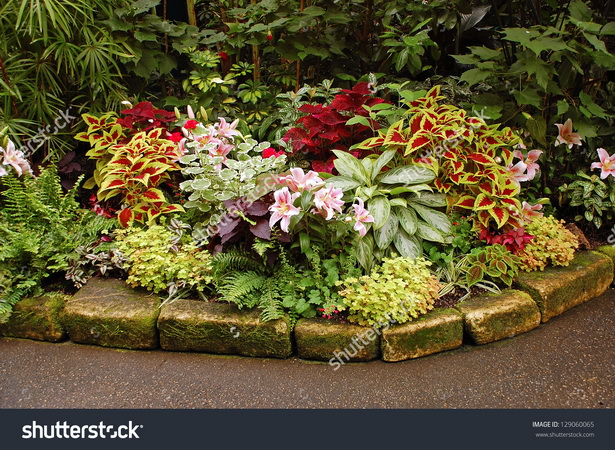 garden-tropical-plants-60_7 Градински тропически растения