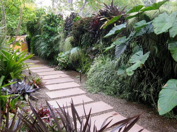 garden-tropical-plants-60_9 Градински тропически растения
