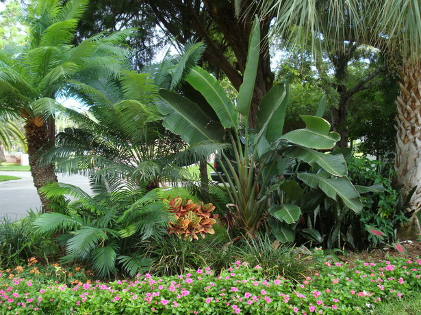 garden-tropical-79_17 Градина тропически