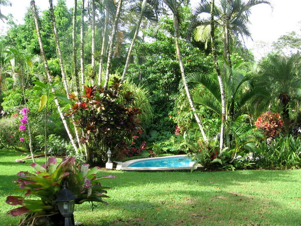 garden-tropical-79_4 Градина тропически