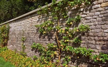 garden-wall-76_18 Градинска стена