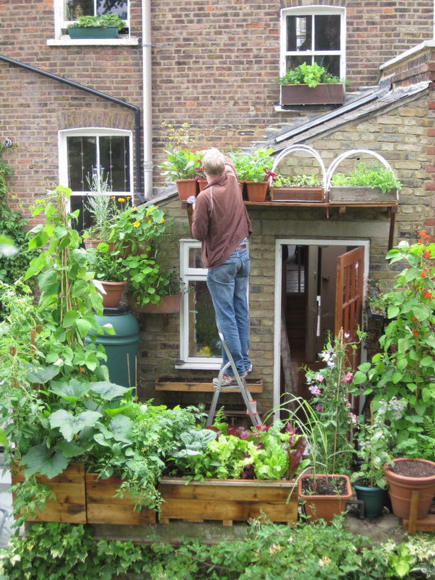 gardening-in-a-small-space-82_14 Градинарство в малко пространство