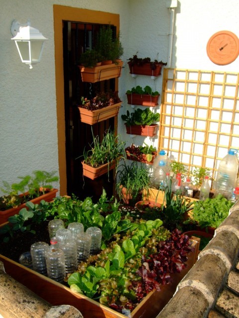gardening-in-a-small-space-82_4 Градинарство в малко пространство