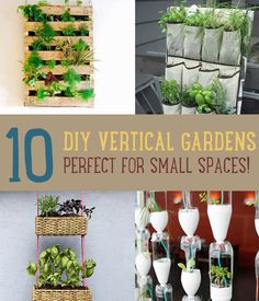 gardening-in-small-spaces-ideas-20_11 Градинарство в малки пространства идеи