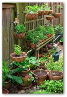 gardening-in-small-spaces-26_3 Градинарство в малки пространства