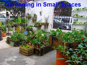 gardening-in-small-spaces-26_9 Градинарство в малки пространства