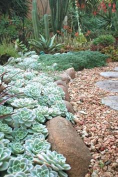 gardening-with-rocks-and-stones-83_16 Градинарство с камъни и камъни