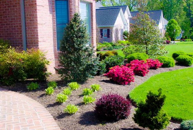 good-plants-for-front-yard-landscaping-47 Добри растения за озеленяване на предния двор