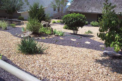 gravel-backyard-landscaping-27_18 Чакъл задния двор озеленяване