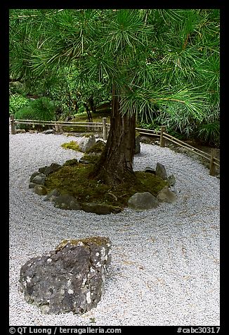 gravel-for-japanese-garden-73 Чакъл за японска градина