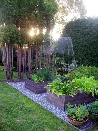 great-garden-ideas-81_15 Страхотни градински идеи