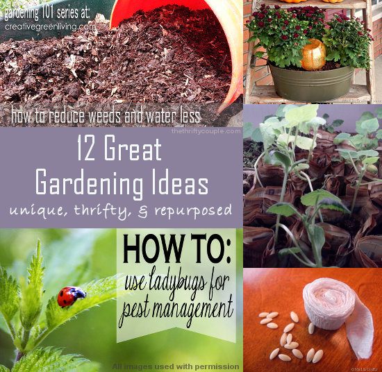 great-ideas-for-gardens-84_11 Страхотни идеи за градини