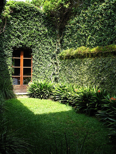 green-garden-design-15 Зелена градина дизайн