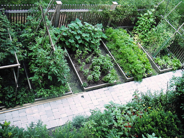 growing-vegetables-in-a-small-garden-37_7 Отглеждане на зеленчуци в малка градина