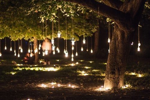 hanging-tree-lights-outdoor-39_17 Висящи дърво светлини открит