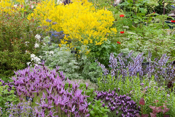 herb-garden-58_12 Билкова градина