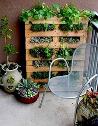 herb-gardens-for-small-spaces-78_2 Билкови градини за малки пространства