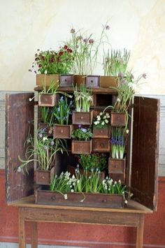 herb-gardens-for-small-spaces-78_3 Билкови градини за малки пространства