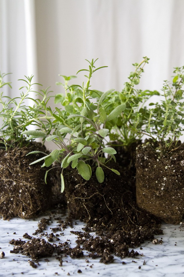 herb-gardens-for-small-spaces-78_6 Билкови градини за малки пространства