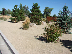 high-desert-landscaping-36_8 Високо пустинно озеленяване