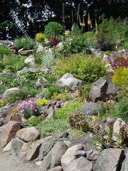 hillside-rock-garden-40_4 Скална градина Хилсайд