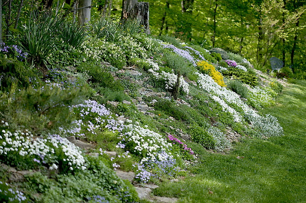 hillside-rock-garden-40_8 Скална градина Хилсайд