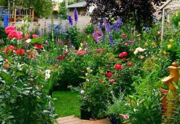 home-flower-garden-ideas-13_6 Начало цветна градина идеи