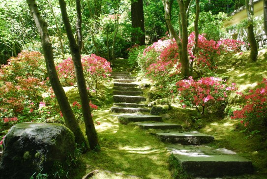 home-japanese-garden-92_9 Начало японска градина