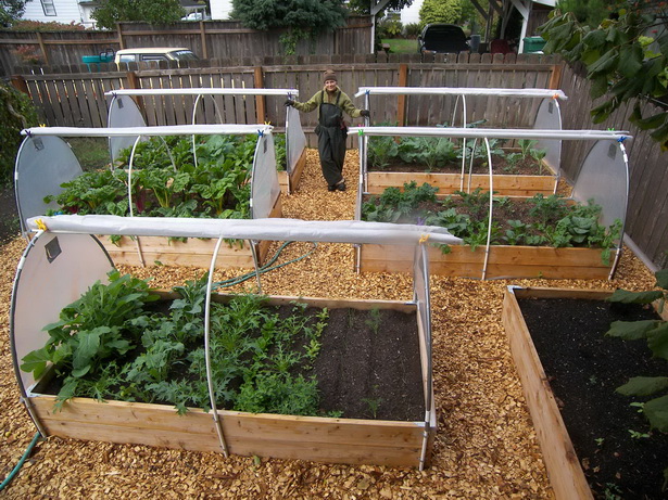 home-vegetable-garden-design-ideas-16 Основен идеи за дизайн на зеленчукова градина