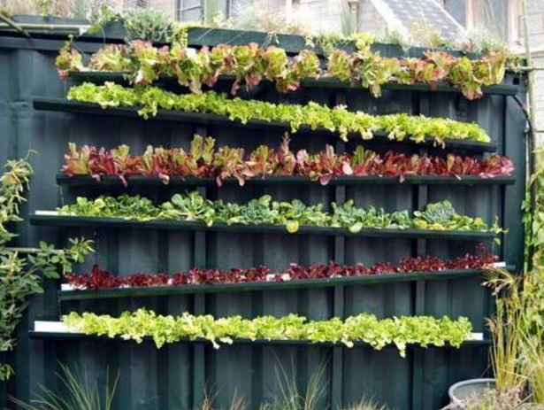 home-vegetable-garden-design-ideas-16_12 Основен идеи за дизайн на зеленчукова градина