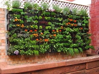 home-vegetable-garden-design-ideas-16_18 Основен идеи за дизайн на зеленчукова градина