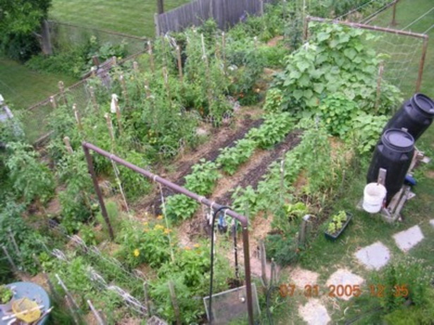home-vegetable-garden-design-ideas-16_8 Основен идеи за дизайн на зеленчукова градина