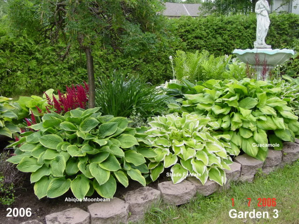 hosta-garden-design-ideas-55_12 Хоста градински дизайн идеи