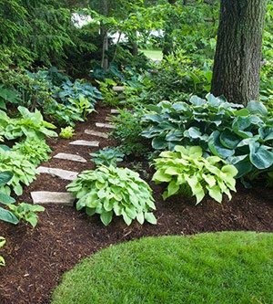 hosta-garden-design-ideas-55_8 Хоста градински дизайн идеи