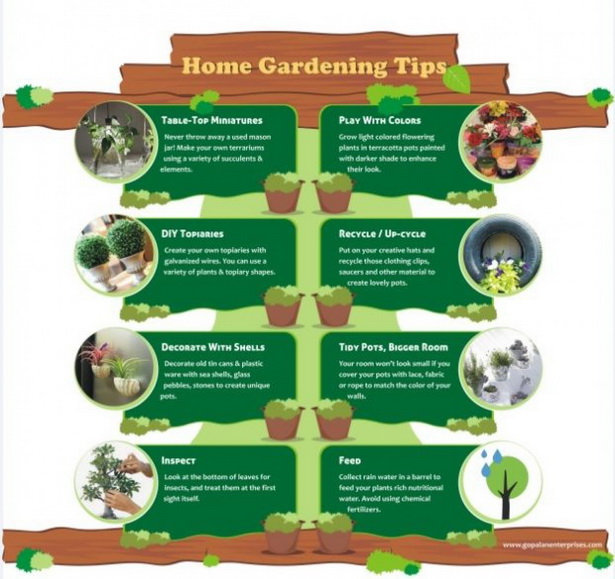 house-gardening-tips-86_5 Къща градинарство съвети